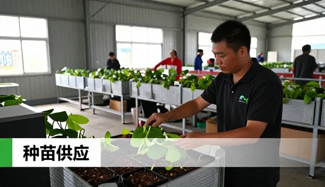 庆云县盈通孔雀养殖专业合作社推动化方案向智能化方向发展